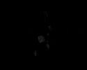 foundfootage MEDUZ