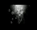 foundfootage MEDUZ foundfootage MEDUZ