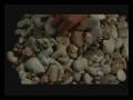 videos de in my end is my beginning wmv