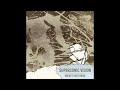 Mickey Hart Band - Supersonic Vision (Audio)