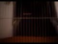Zebra Fiches in cage Zebra Fiches in cage