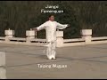 Jiangxi - Famenquan [法门拳]
