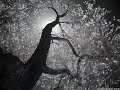 Ephraim Lewis-\"Drowning In Your Eyes\"