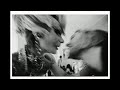 Inside: The Chelsea Hotel Photographed by Julia Calfee