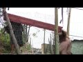 Violent mob attacks shack-dwellers in lead-up to World Cup