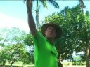 Greg Safaris - Off The Beaten Track