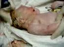 Welcome to the World! Welcome to the World!