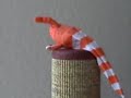 Daisy performs her death-defying circus stunts.