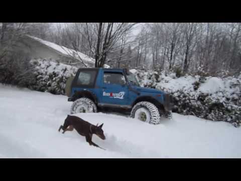 Doberman Pincer