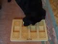 Nina Ottosson: Dog Brick