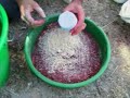 PESCA DE CARPAS A LA INGLESA PESCA DE CARPAS A LA INGLESA