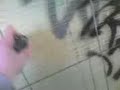HENOR FDK TAGGiNG