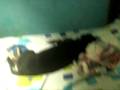 videos de Filomena