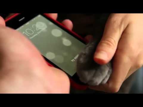 iPhone 5s Cats Paw Test