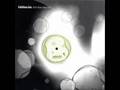 Flinsch 'n Nielson - Effekthascher