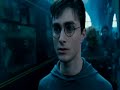 Harry Potter & Tom Riddle - The world is not enough (slash)