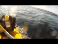 Kayaking with Redondo Beach Blue Whales, Whale Spit, GoPro