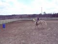 Barrels Barrels