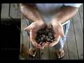 Choptank Sweets Oyster Farm