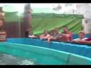 Wildwasser 2