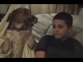 P4A 2011 Talking Dog...Telling Bad Jokes ASPCA