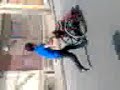pato en silla de rueda