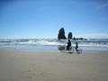 Cannon Beach Bicyling