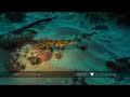 Cow shark, puffadder shyshark and hagfish swim in icy waters