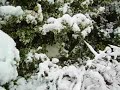 spot the cat! spot the cat!