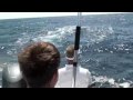 videos de First Fishing trip new boat and what is it?