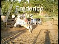 rodeio em bezerros