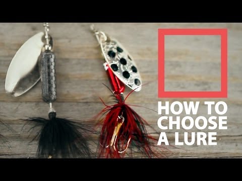 how to decide what lure to use