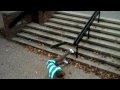 elm in 3 minutes