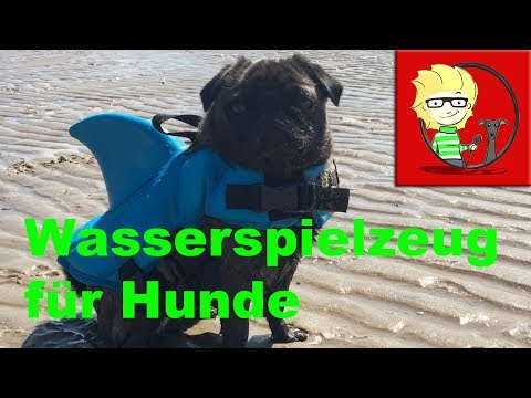 (FOLGE 17) Wasserspielzeug - witzige und tolle Sachen für Hunde
