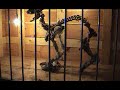 La M�nagerie du Cirque de la Licorne