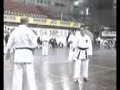 KARATE DO KATA BUNKAI KARATE DO KATA BUNKAI