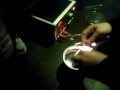 Laboratorie kursus (02-12-2009) Naturfag-10.mp4