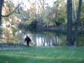 GEEK SQUAD KILLS SASQUATCH!