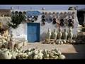 Nostalgie Tunisienne
