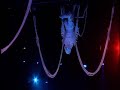 Solstrom- Bungee Solstrom- Bungee