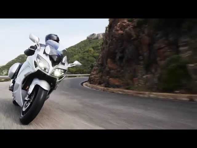 FJR1300AE (oldaldobozok)