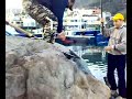 KARAGÖZ AVI KARAGÖZ AVI