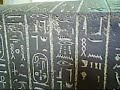 Dinosaurs in ancient Egypt ?