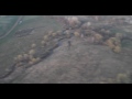 Полет над Родиной (Грот - Рубежи)