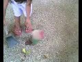 i love sweeping i love sweeping