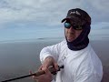 Nature coast Redfish action!!! Nature coast Redfish action!!!