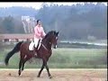 Showjumping training