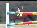 Showjumping training