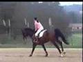 Showjumping training