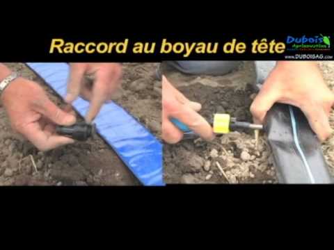 Installation d'un système d'irrigation goutte à gouttte | Dubois Agrinovation